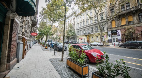 Integrált közösségi pszichiátriai és addiktológiai ellátás Terézvárosban