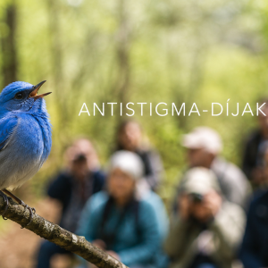 Antistigma-díjak 2026